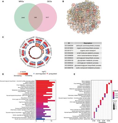 A Novel Prognostic Signature Based on Metabolism-Related Genes to Predict Survival and Guide Personalized Treatment for Head and Neck Squamous Carcinoma